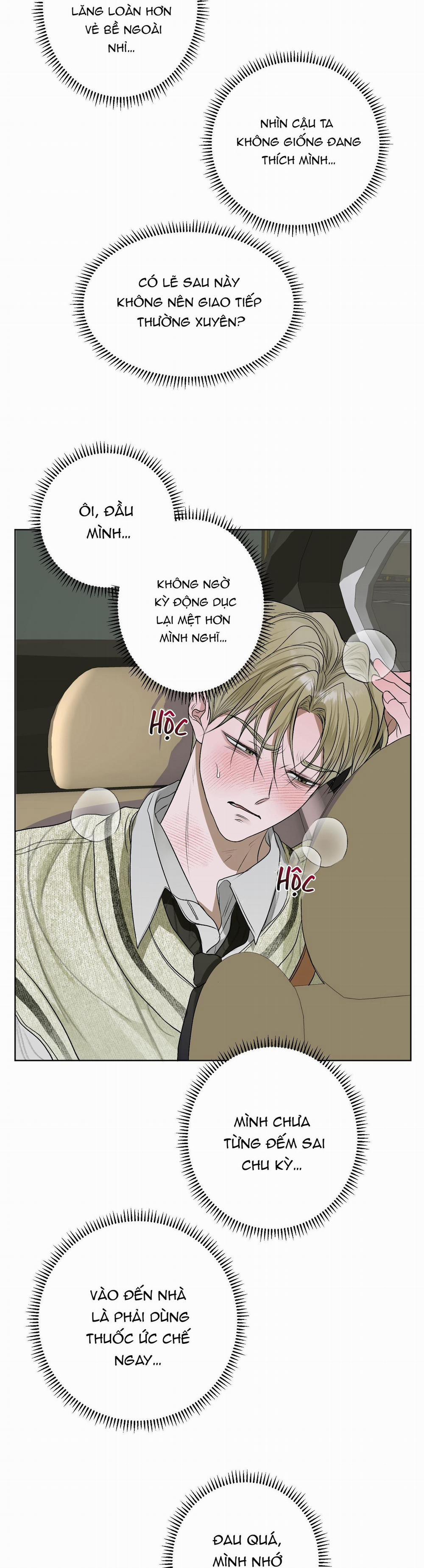 Đầm Hoa Sen 21 trang 9