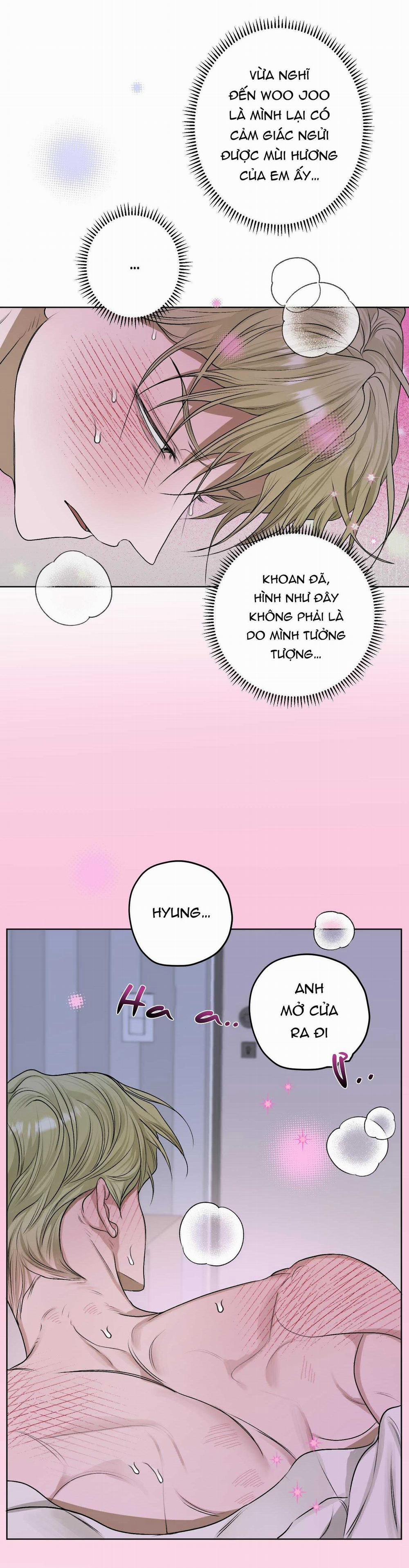 Đầm Hoa Sen 22 trang 2