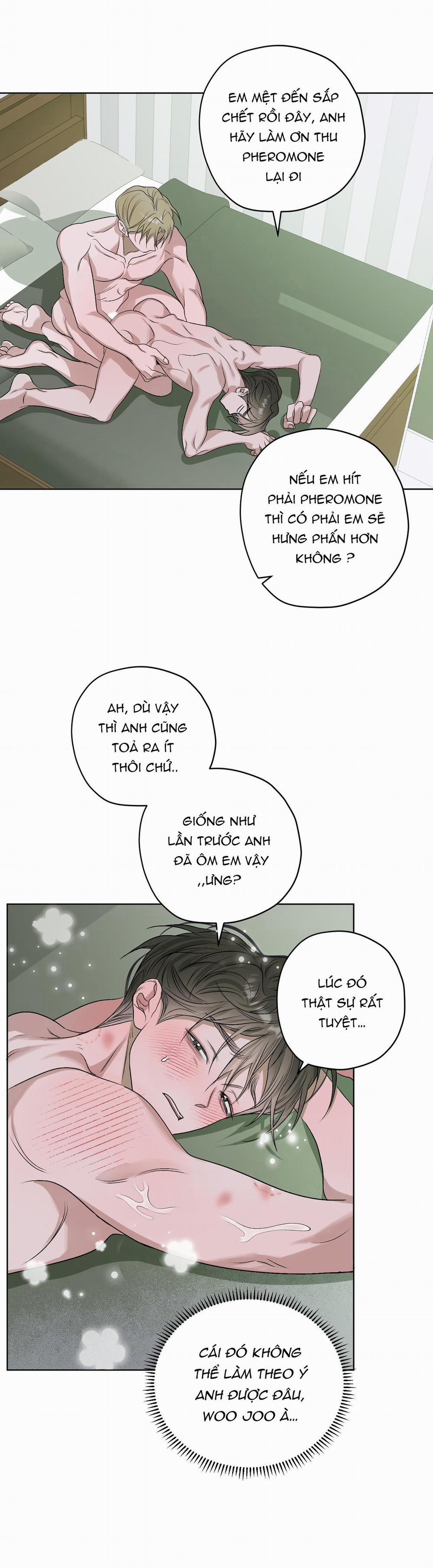 Đầm Hoa Sen 25 trang 12