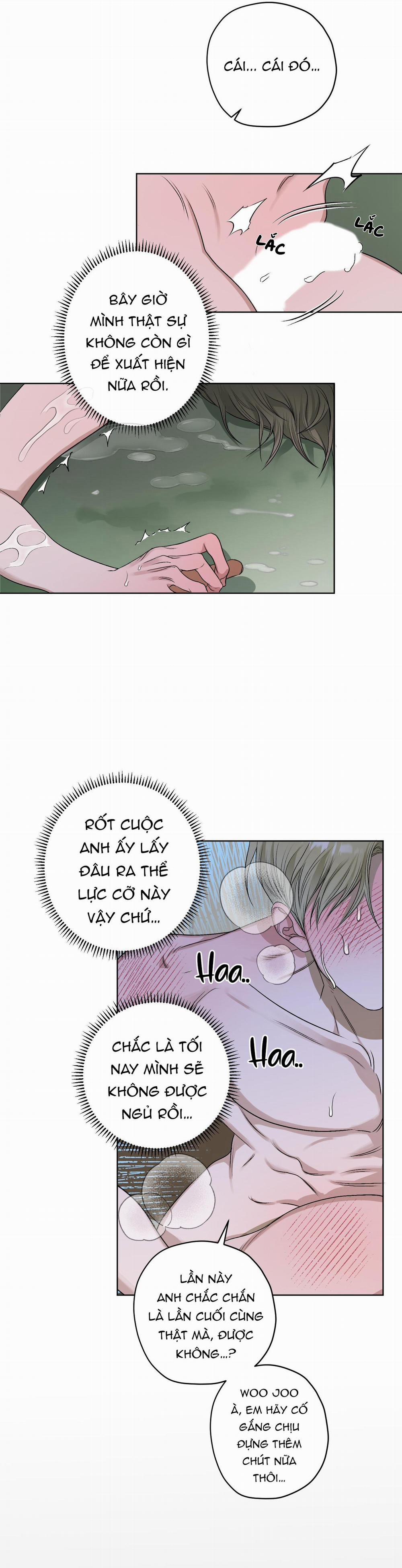 Đầm Hoa Sen 25 trang 2