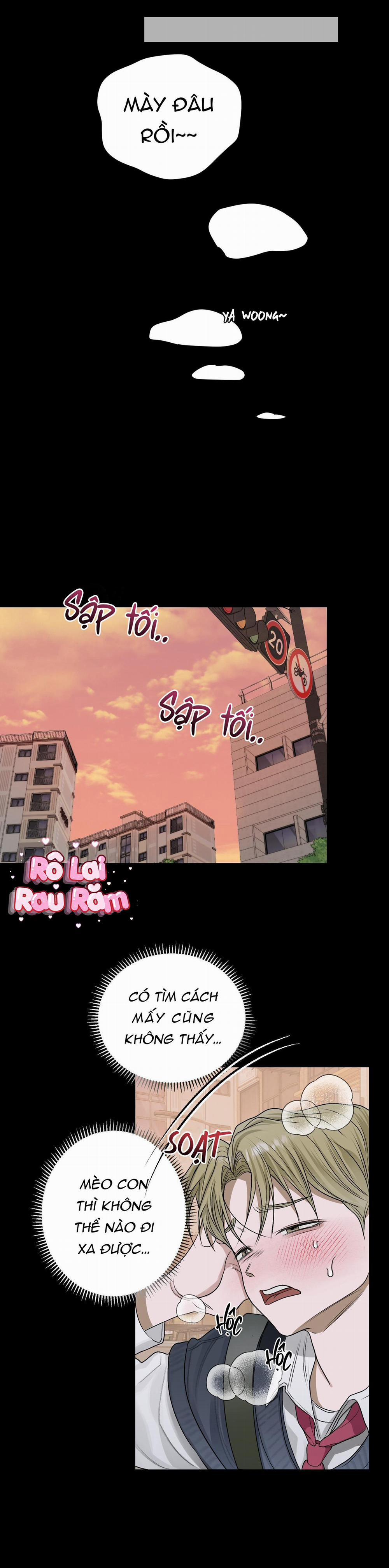 Đầm Hoa Sen 26 trang 11