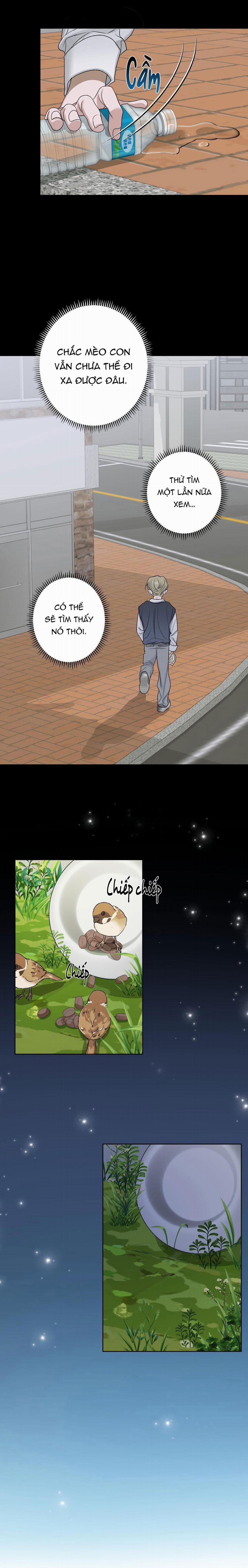 Đầm Hoa Sen 26 trang 5