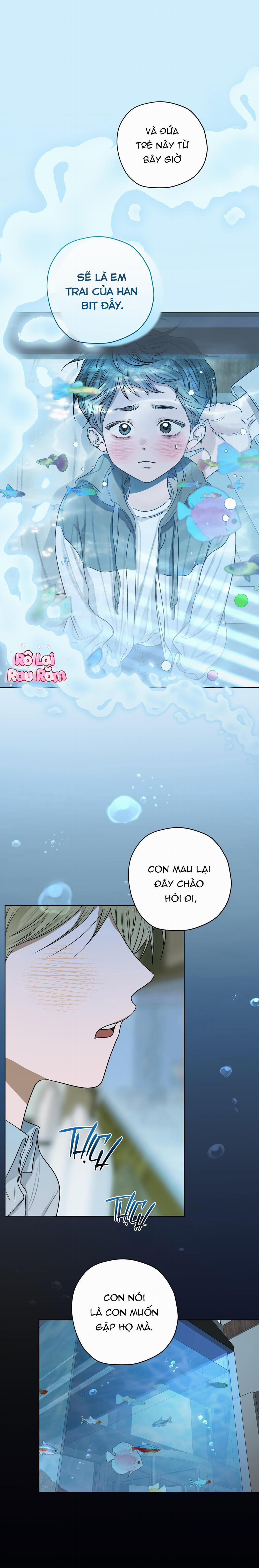 Đầm Hoa Sen 27 trang 0