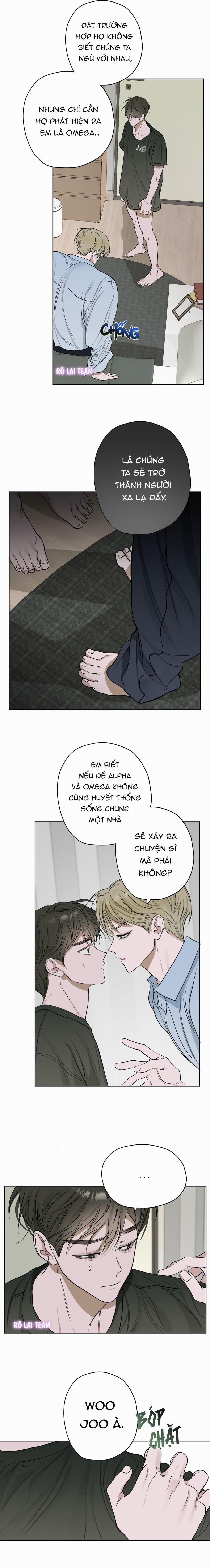 Đầm Hoa Sen 6 ngang raw trang 7