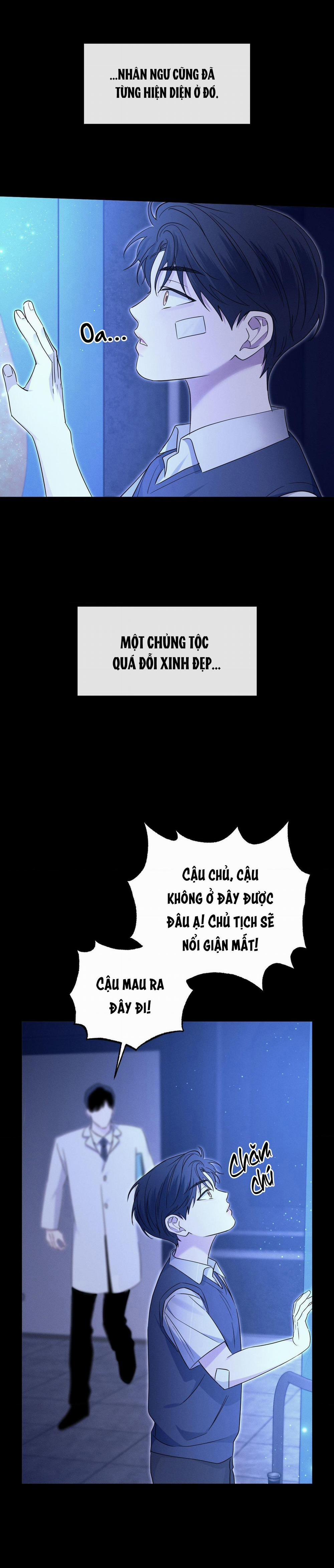 Đầm Lầy Nhân Ngư 17 trang 4