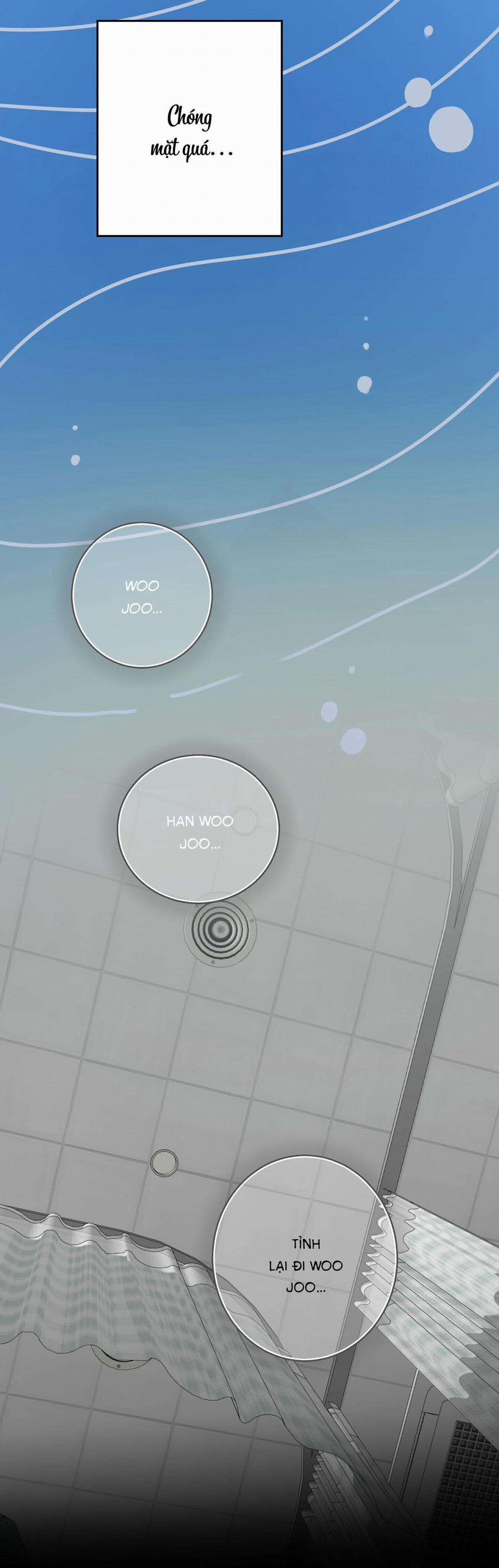 Đầm Sen Héo Úa 11 trang 14