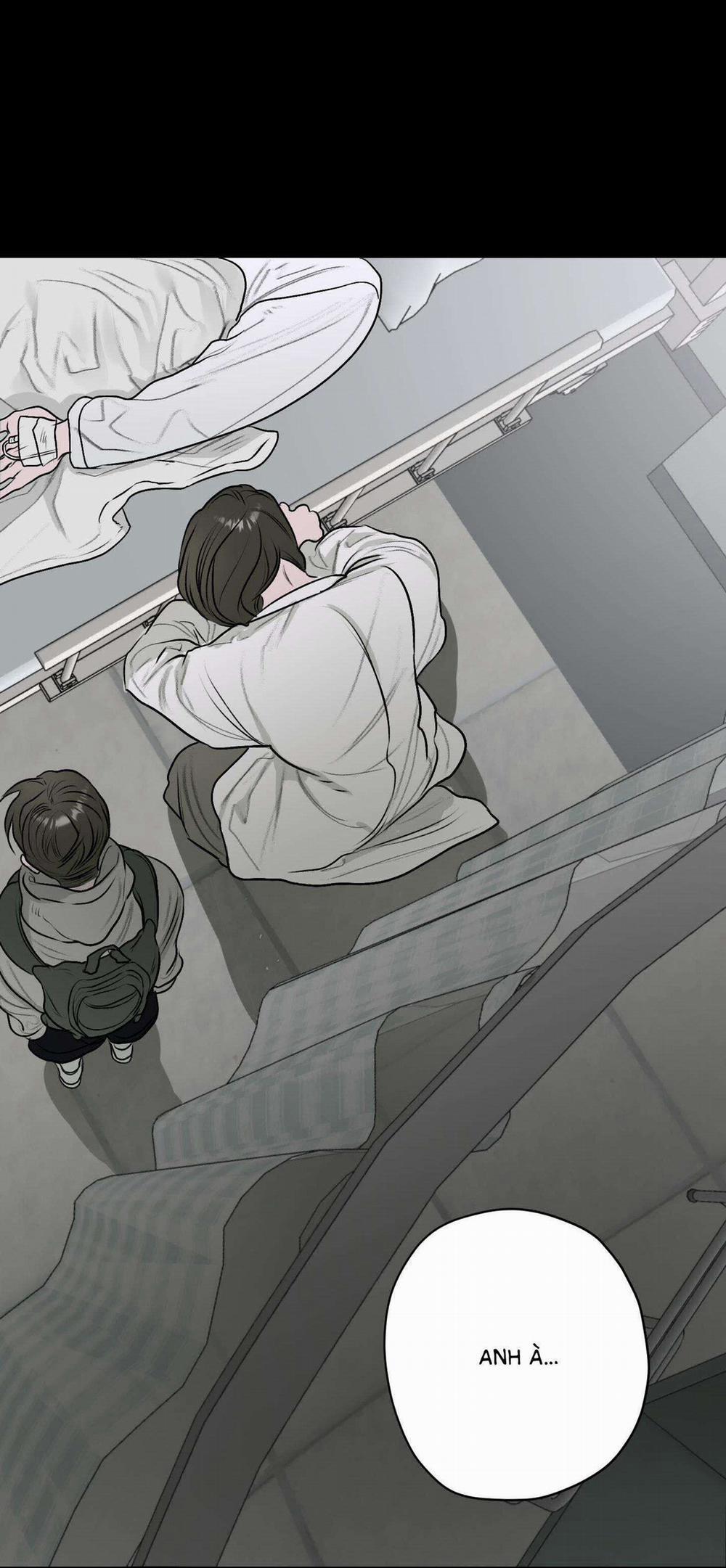 Đầm Sen Héo Úa 11 trang 25