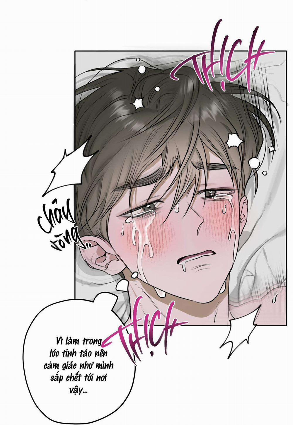 Đầm Sen Héo Úa 15 H+ trang 8