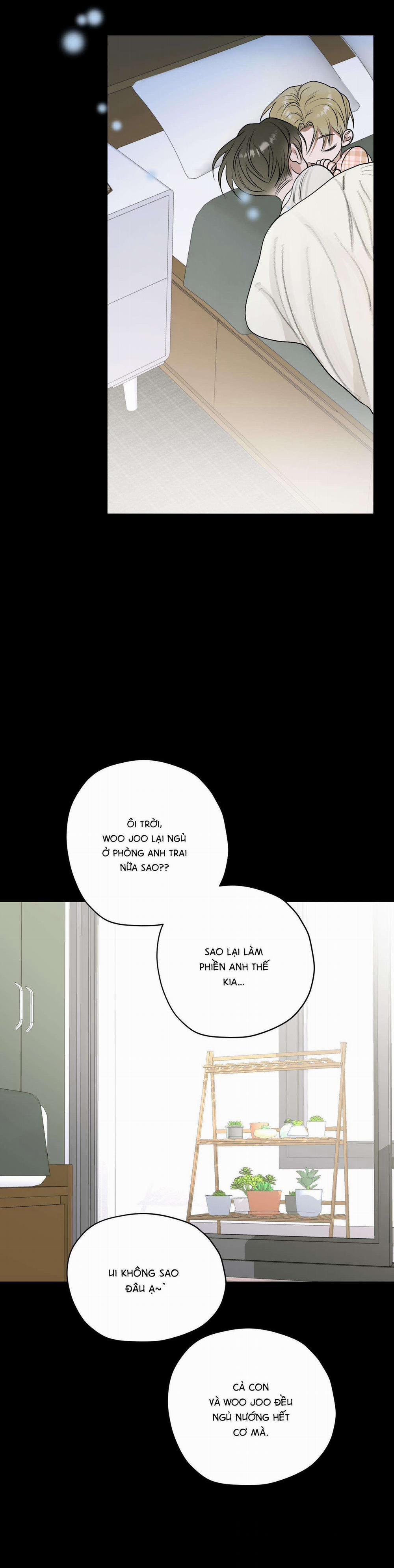 Đầm Sen Héo Úa 18 trang 37