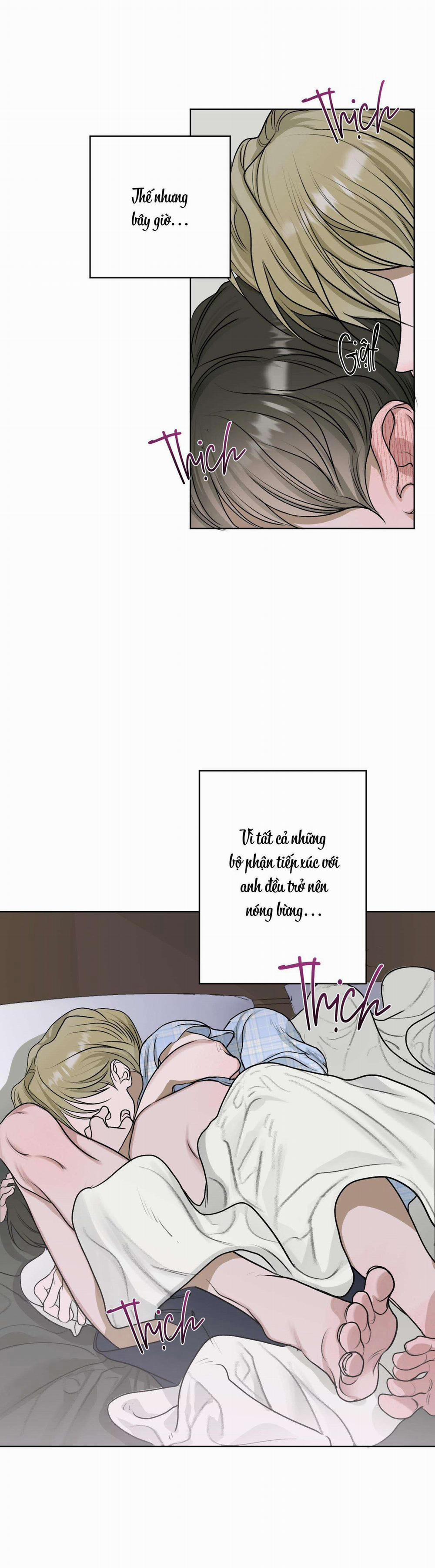 Đầm Sen Héo Úa 18 trang 39