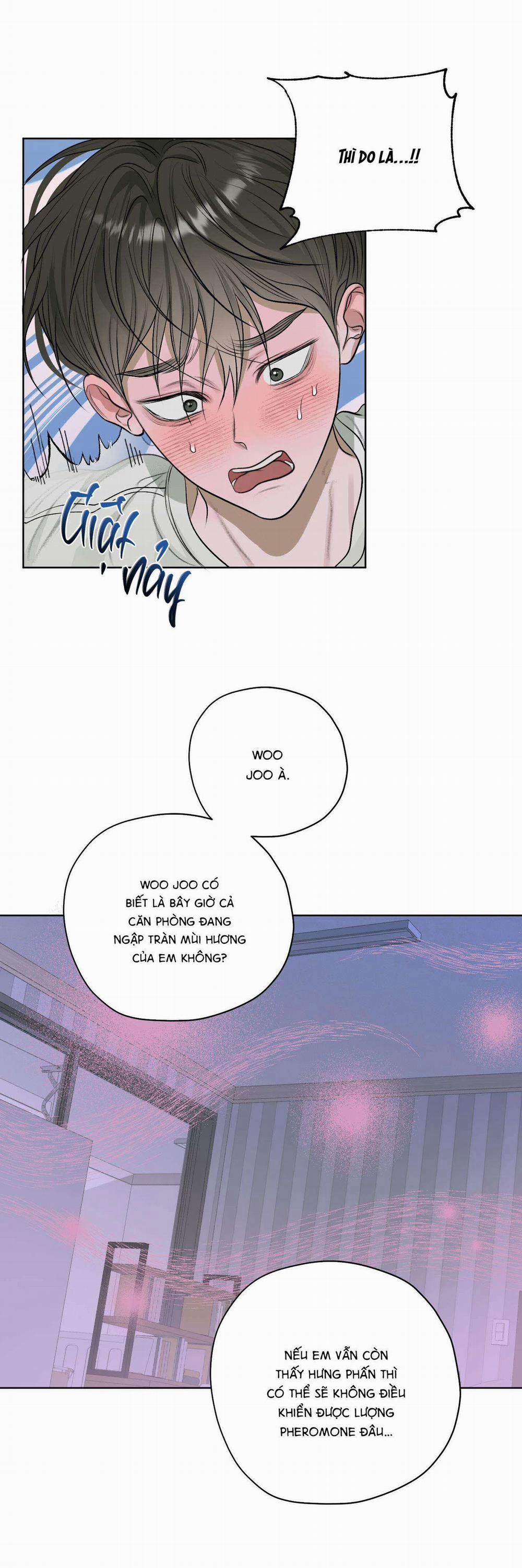 Đầm Sen Héo Úa 19 trang 15