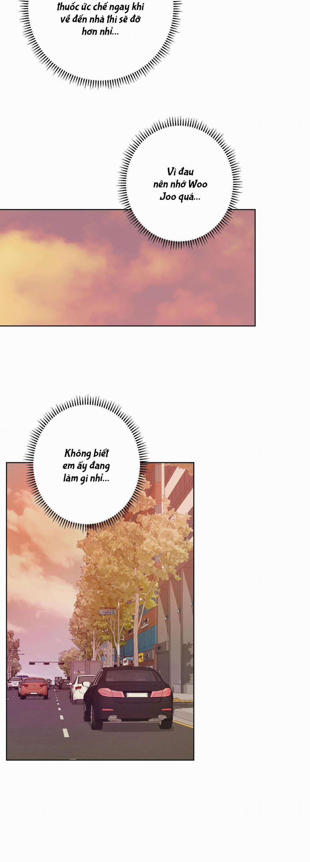 Đầm Sen Héo Úa 21 trang 15