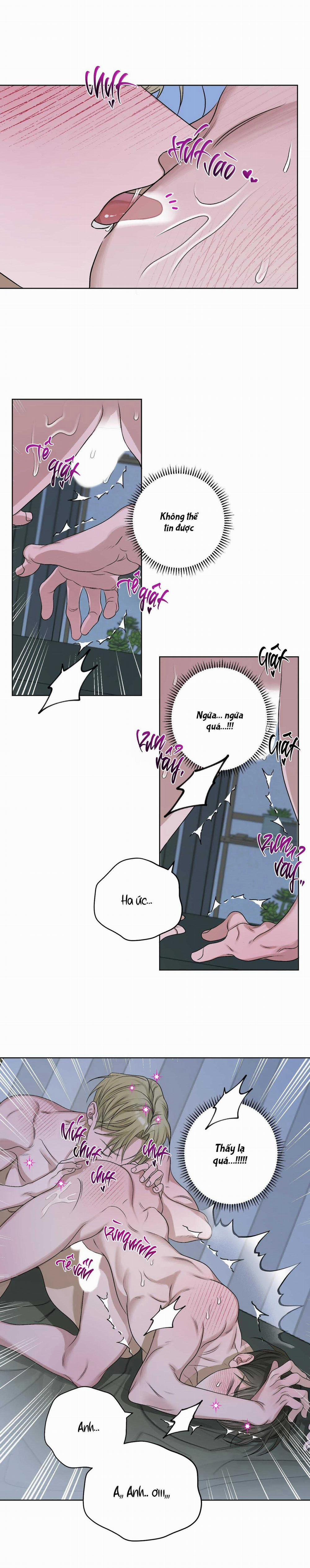 Đầm Sen Héo Úa 24 trang 8