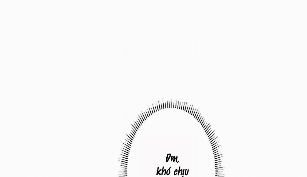 Đầm Sen Héo Úa 8 trang 31