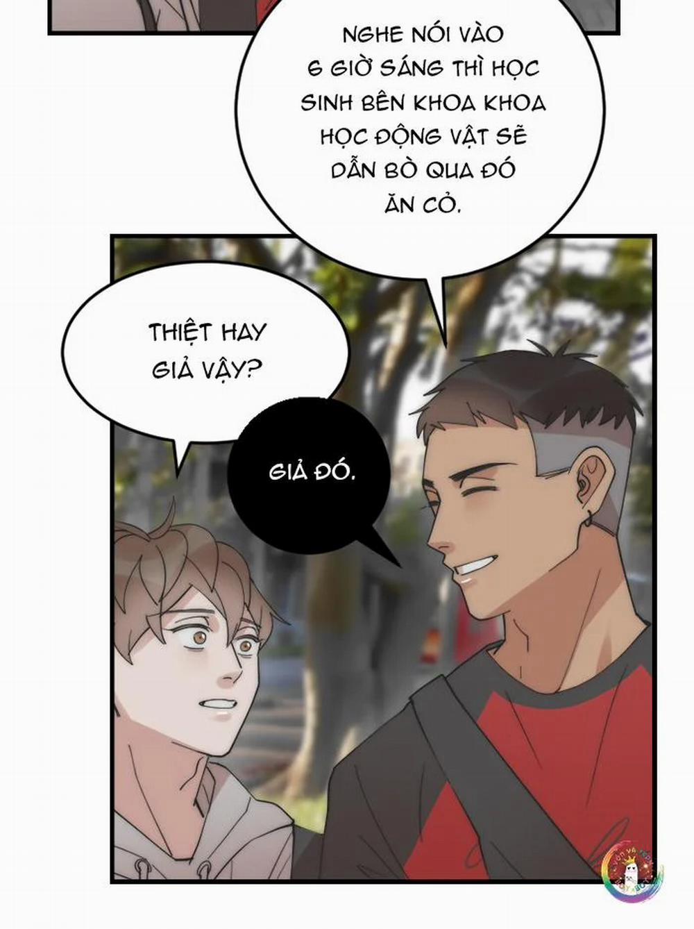 Đàn Anh "sói Ca" Cùng Phòng Của Tôi 18 trang 32