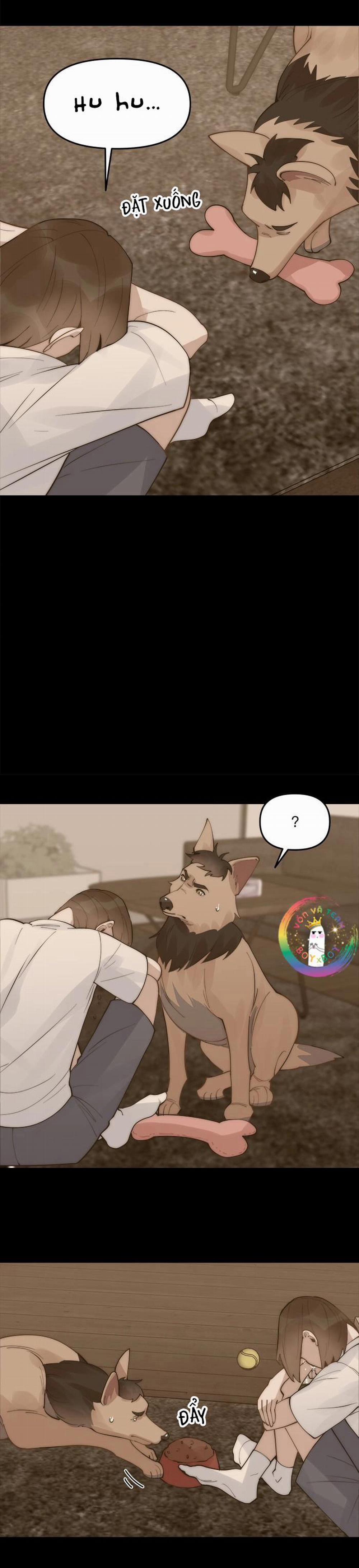 Đàn Anh "sói Ca" Cùng Phòng Của Tôi 47 trang 16