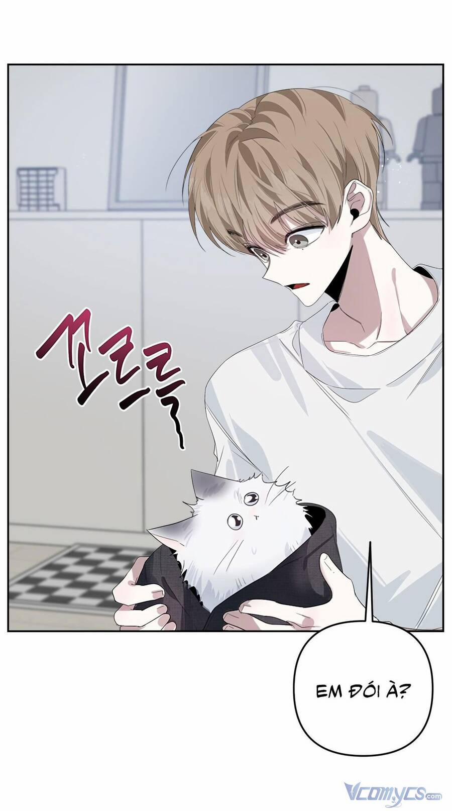 Đàn Anh Xấu Xa 35 trang 12