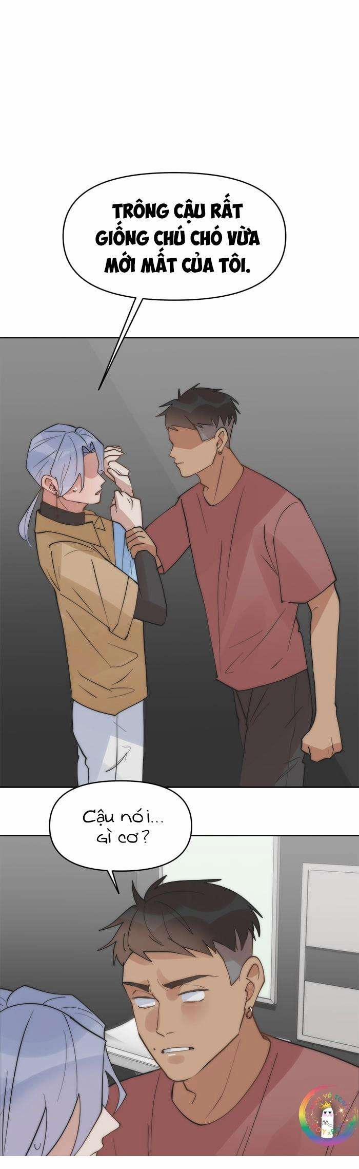 Đàn Anh  43 trang 21