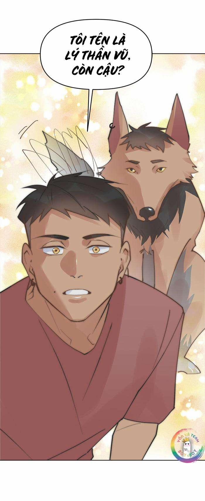 Đàn Anh  43 trang 26