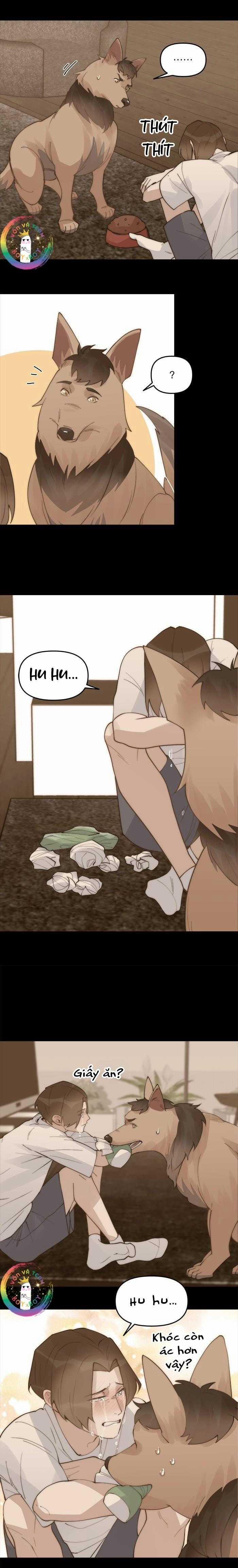 Đàn Anh  47 trang 17