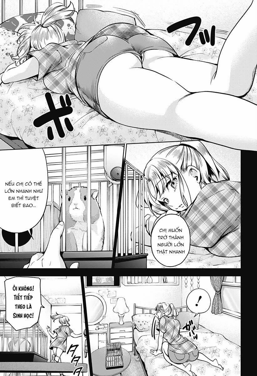 Dàn Harem Cuối Cùng 117 trang 13