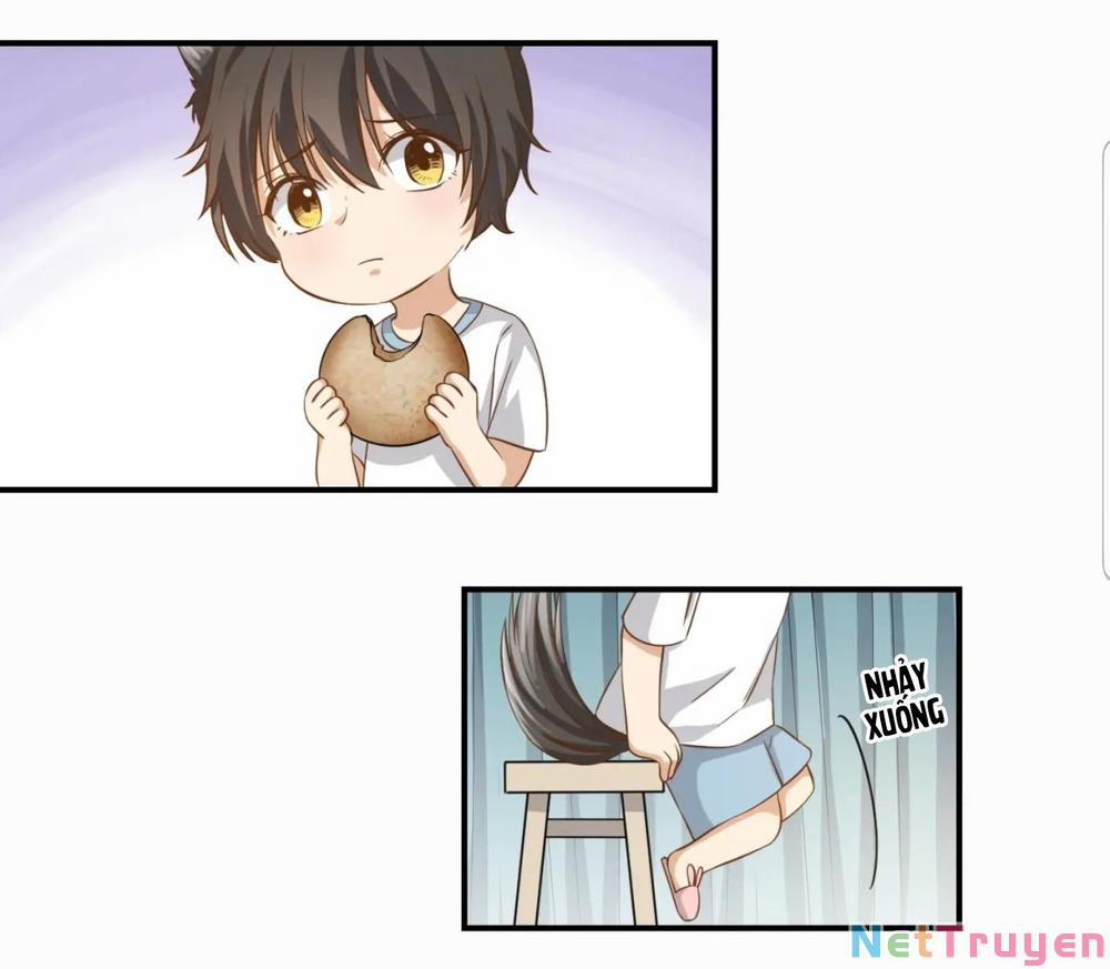 Dẫn Sói Vào Nhà 18 trang 21