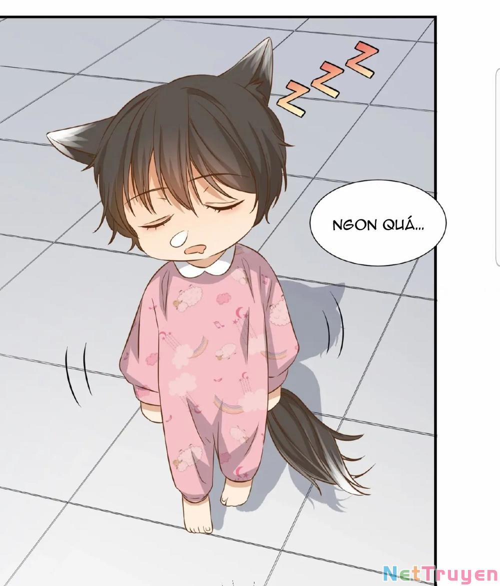 Dẫn Sói Vào Nhà 19 trang 23