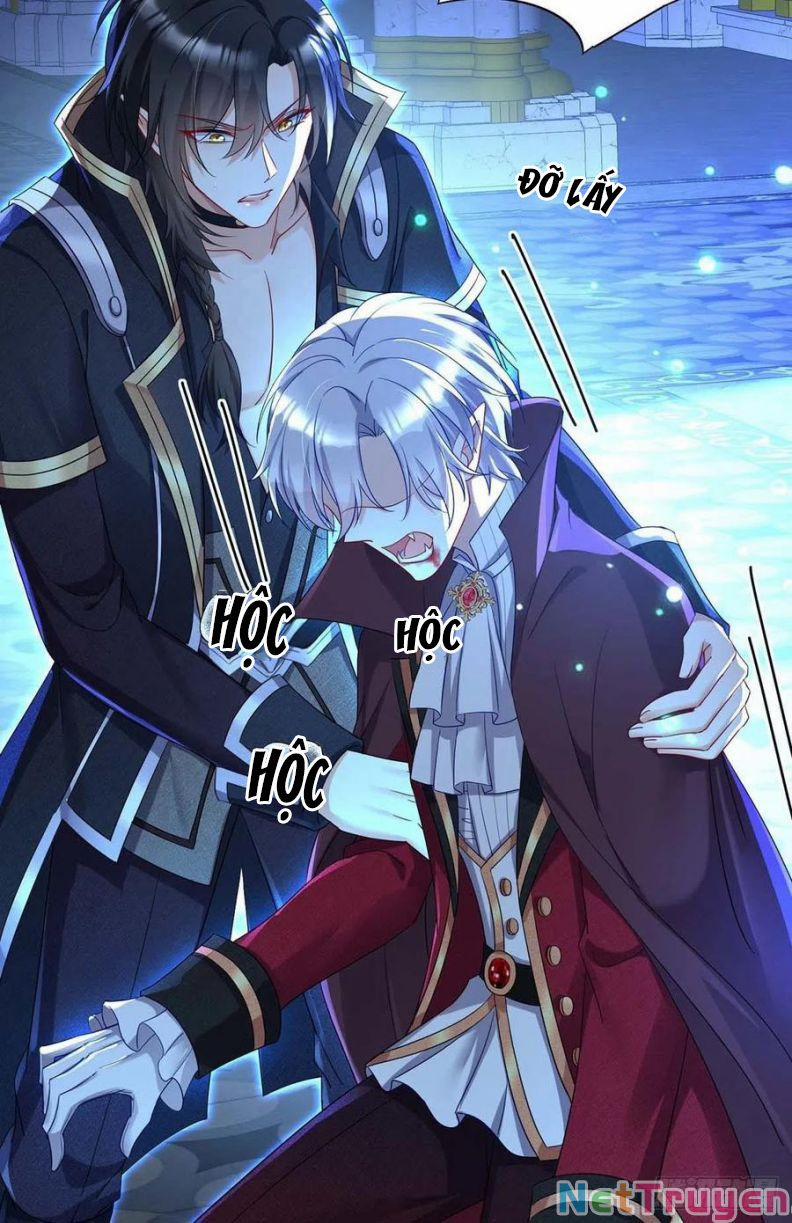 Dẫn Sói Vào Nhà 29 trang 26