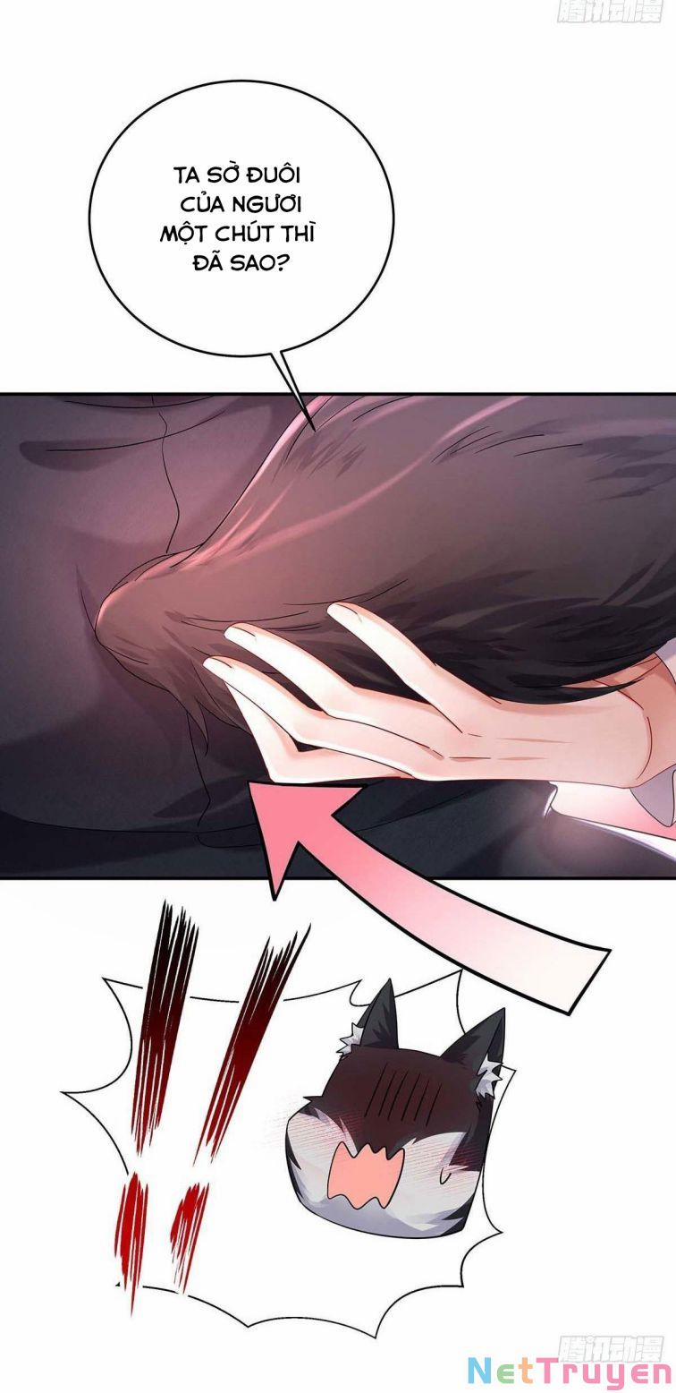 Dẫn Sói Vào Nhà 38 trang 25