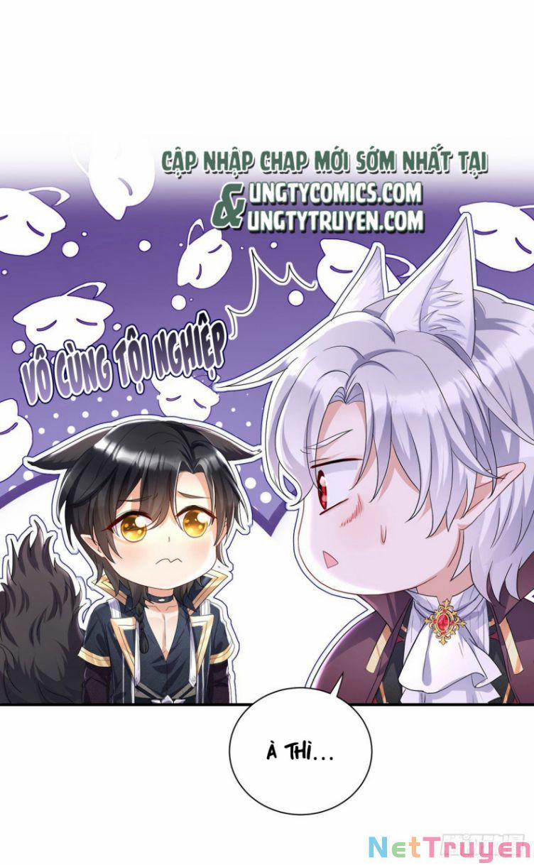 Dẫn Sói Vào Nhà 60 trang 13