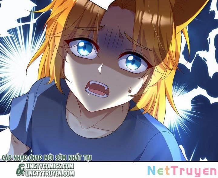 Dẫn Sói Vào Nhà 70 trang 9