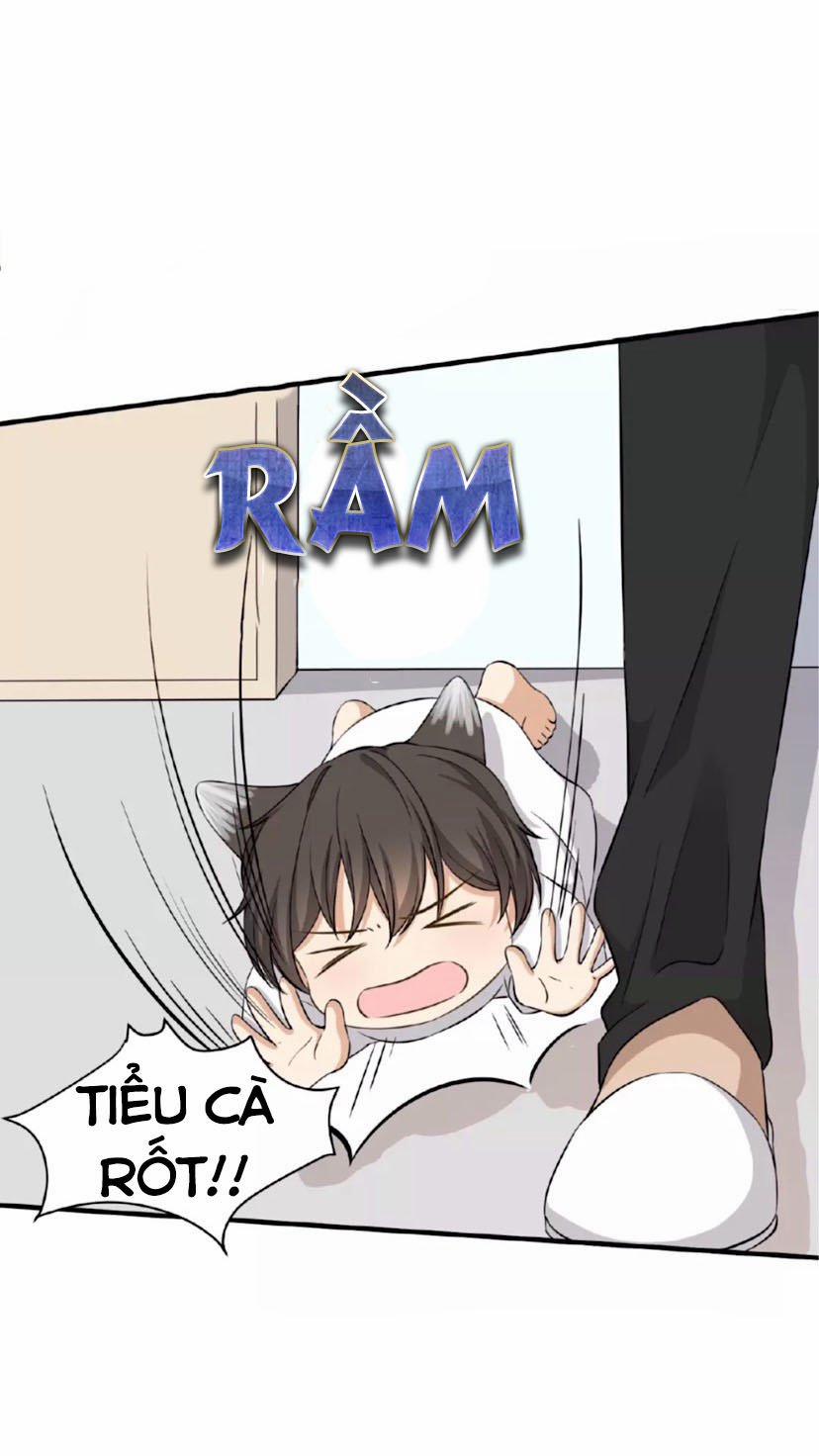 Dẫn Sói Vào Nhà 8 trang 13