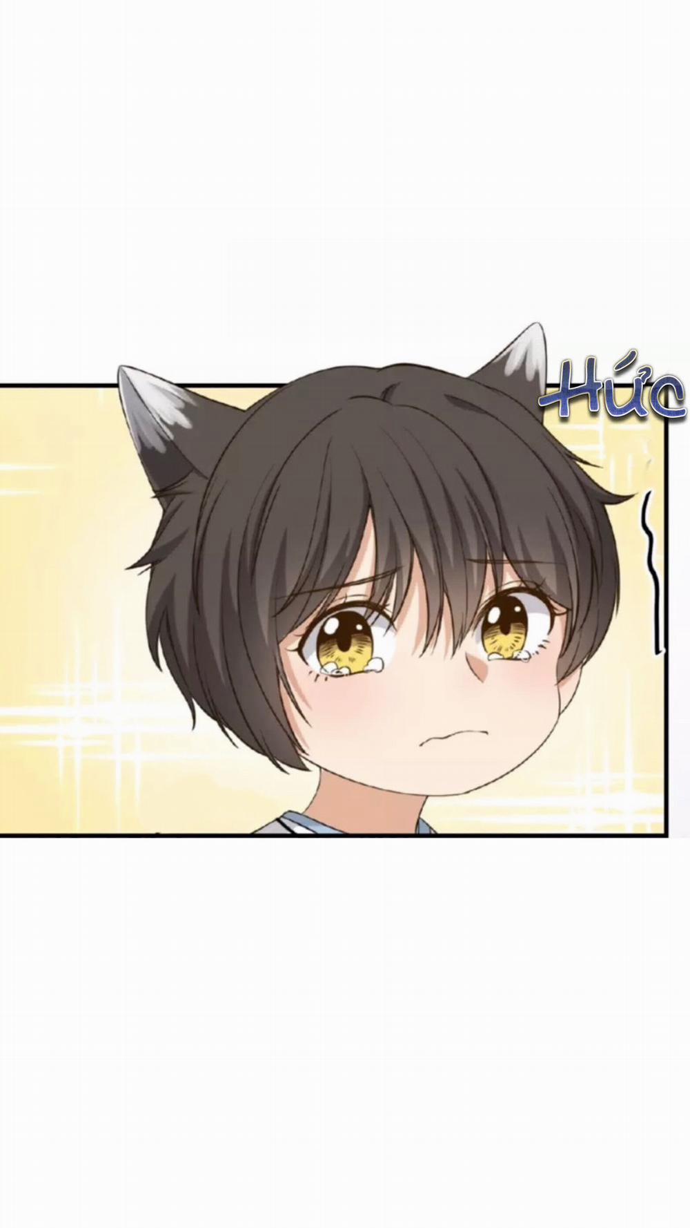 Dẫn Sói Vào Nhà 8 trang 16