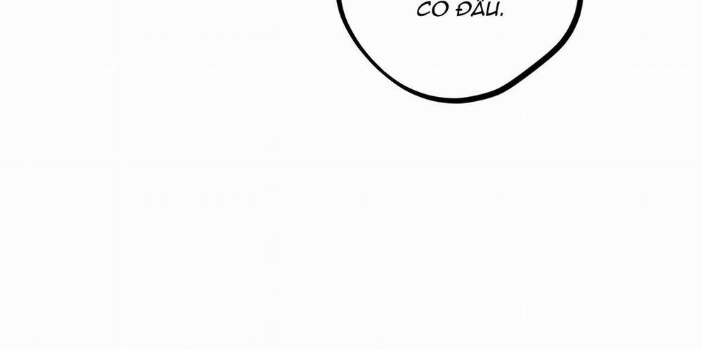 Đàn Thỏ Của Habibi 16 trang 167