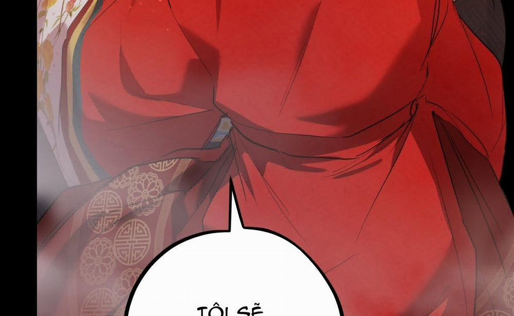 Đàn Thỏ Của Habibi 16 trang 260