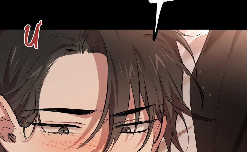 Đàn Thỏ Của Habibi 16 trang 263