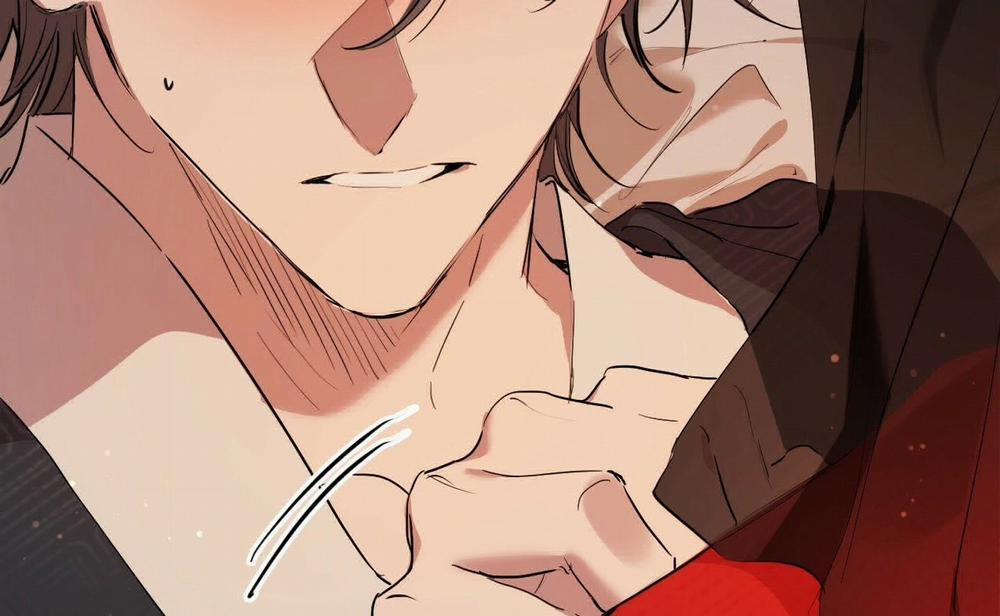 Đàn Thỏ Của Habibi 16 trang 264