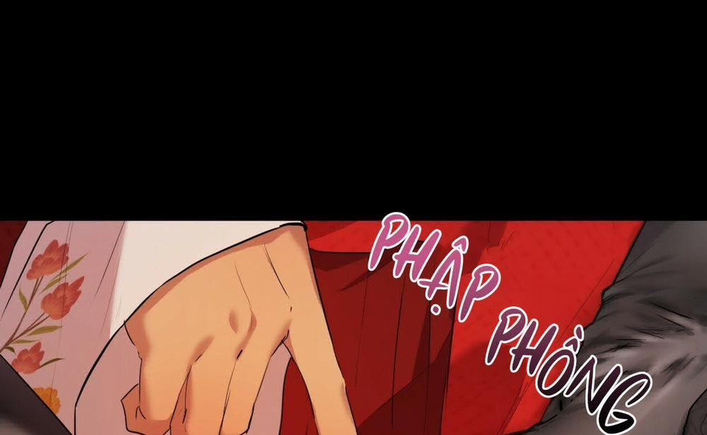 Đàn Thỏ Của Habibi 16 trang 266