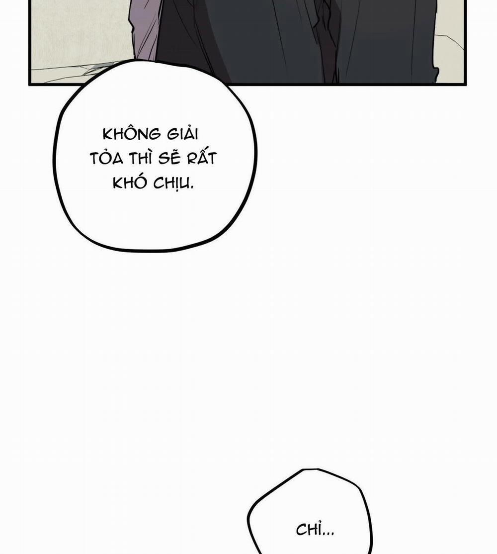 Đàn Thỏ Của Habibi 17 trang 101