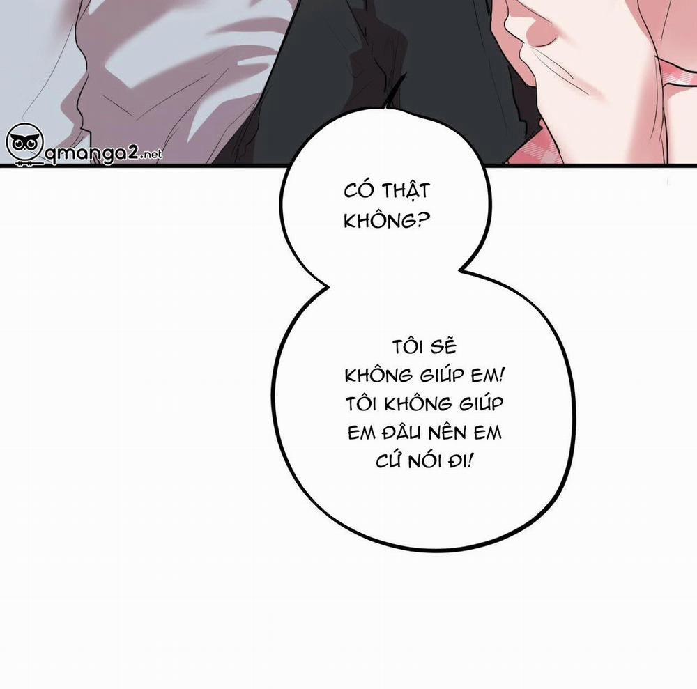 Đàn Thỏ Của Habibi 17 trang 133