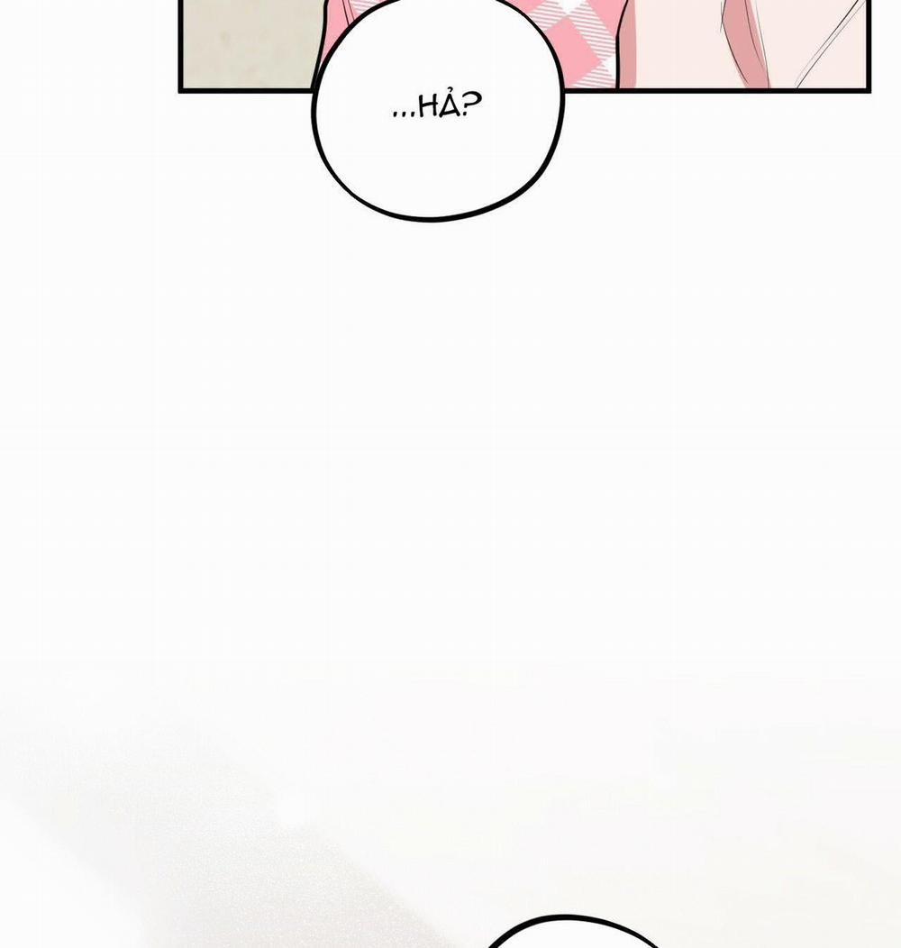 Đàn Thỏ Của Habibi 17 trang 152