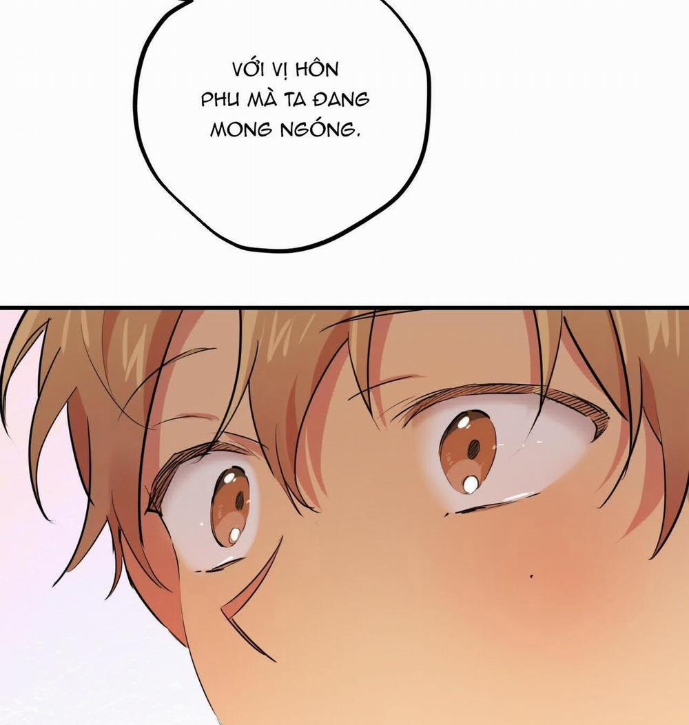 Đàn Thỏ Của Habibi 17 trang 156