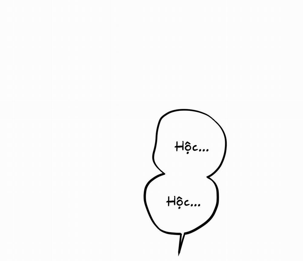 Đàn Thỏ Của Habibi 17 trang 17