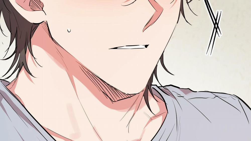 Đàn Thỏ Của Habibi 17 trang 188