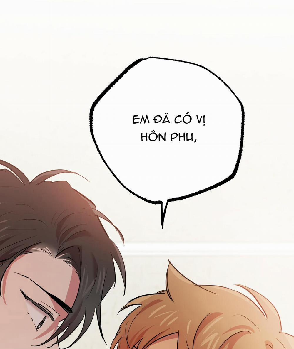 Đàn Thỏ Của Habibi 17 trang 203