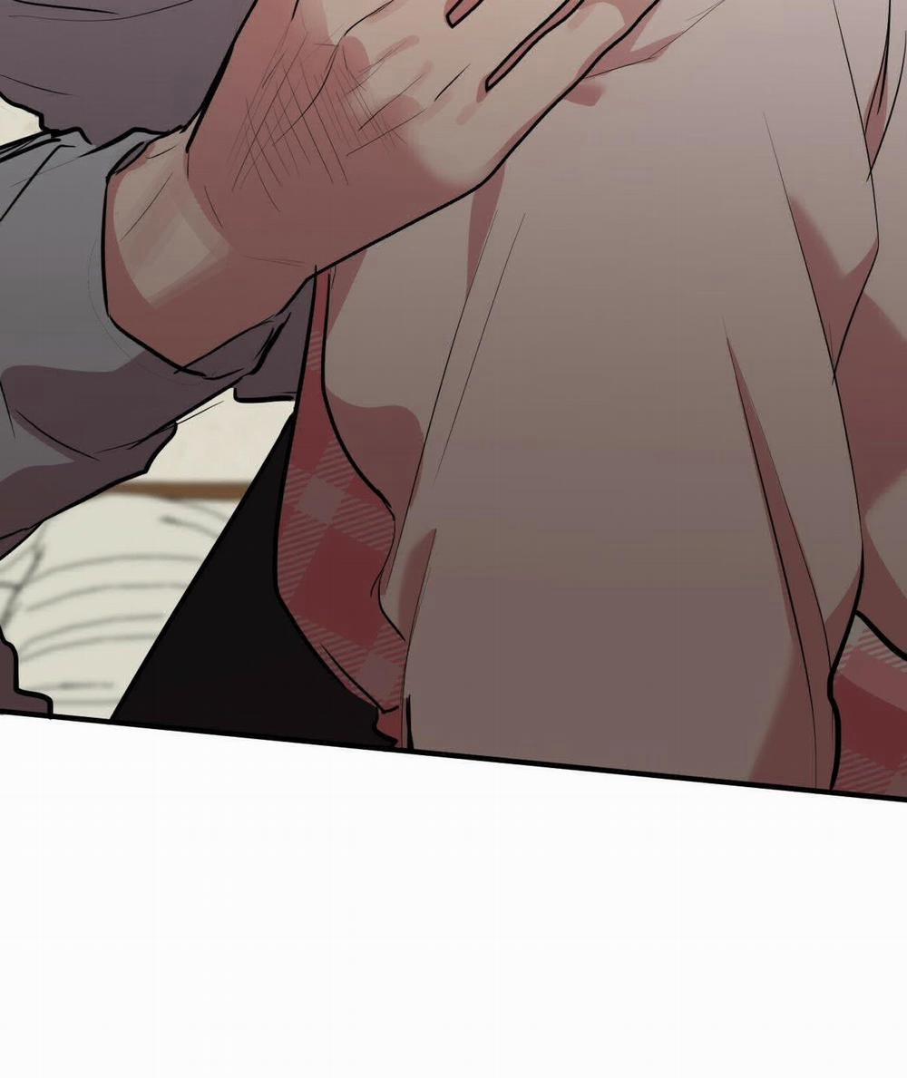 Đàn Thỏ Của Habibi 17 trang 205