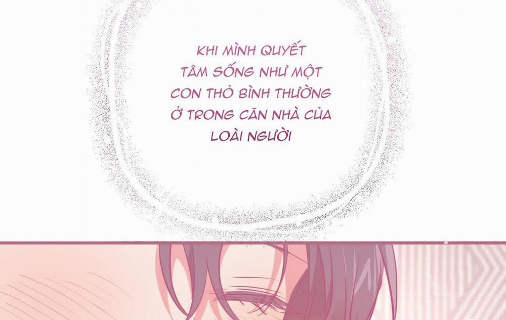 Đàn Thỏ Của Habibi 18 trang 115