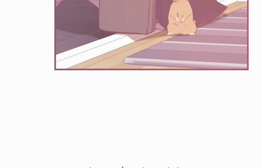 Đàn Thỏ Của Habibi 18 trang 15