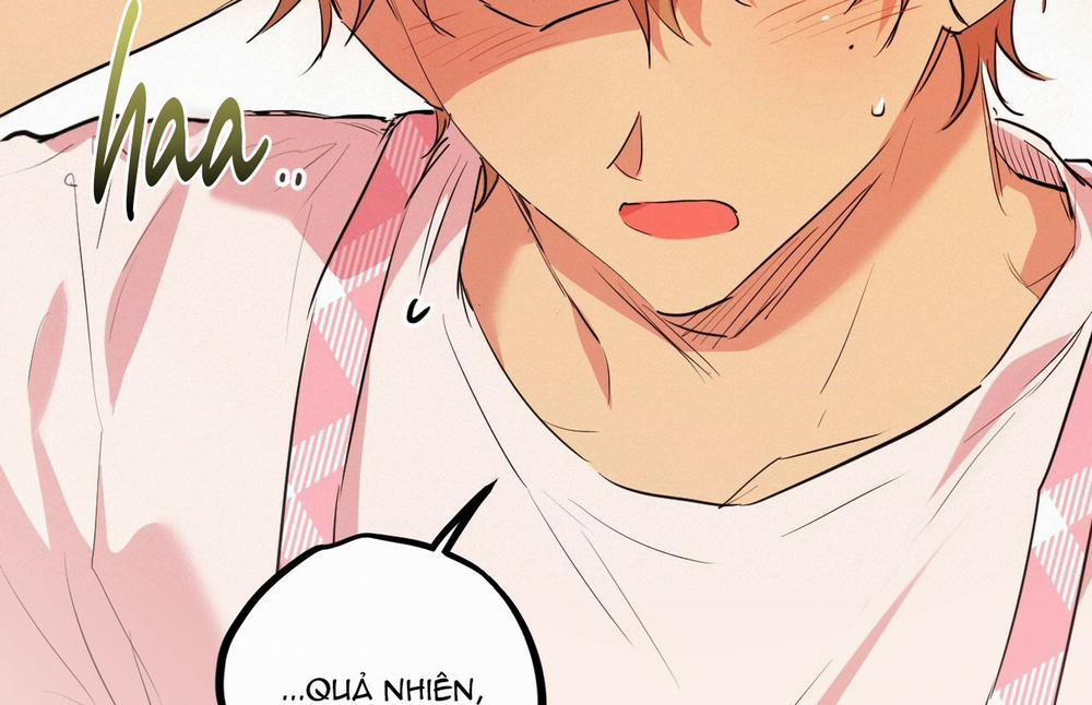 Đàn Thỏ Của Habibi 18 trang 161