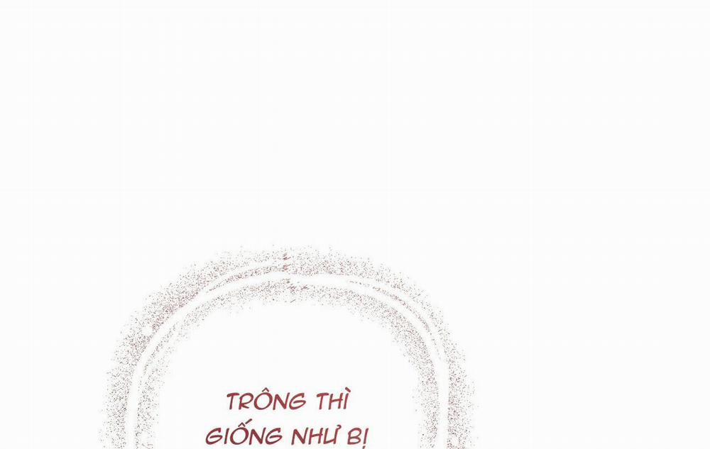 Đàn Thỏ Của Habibi 18 trang 255